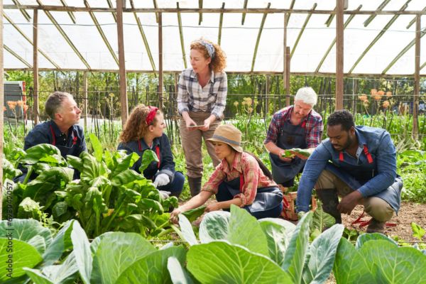 10 Greenhouse Labourer Jobs In Canada With Visa Sponsorship